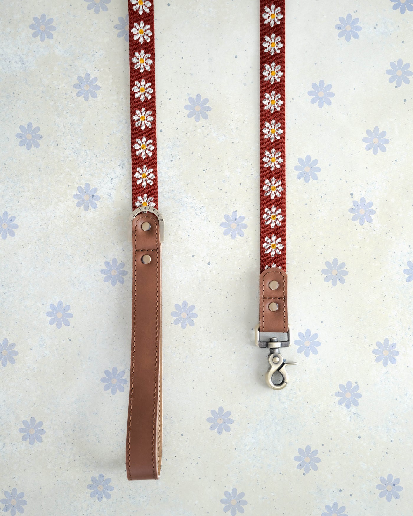 Ruby Red & White Daisies Designer Webbing Dog Collar