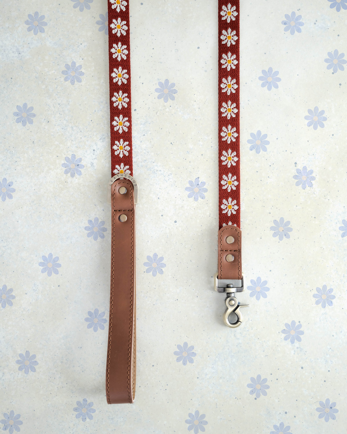 Ruby Daisy webbing dog leash with a leather handle