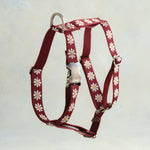 Ruby Daisy webbing dog harness in the same pattern