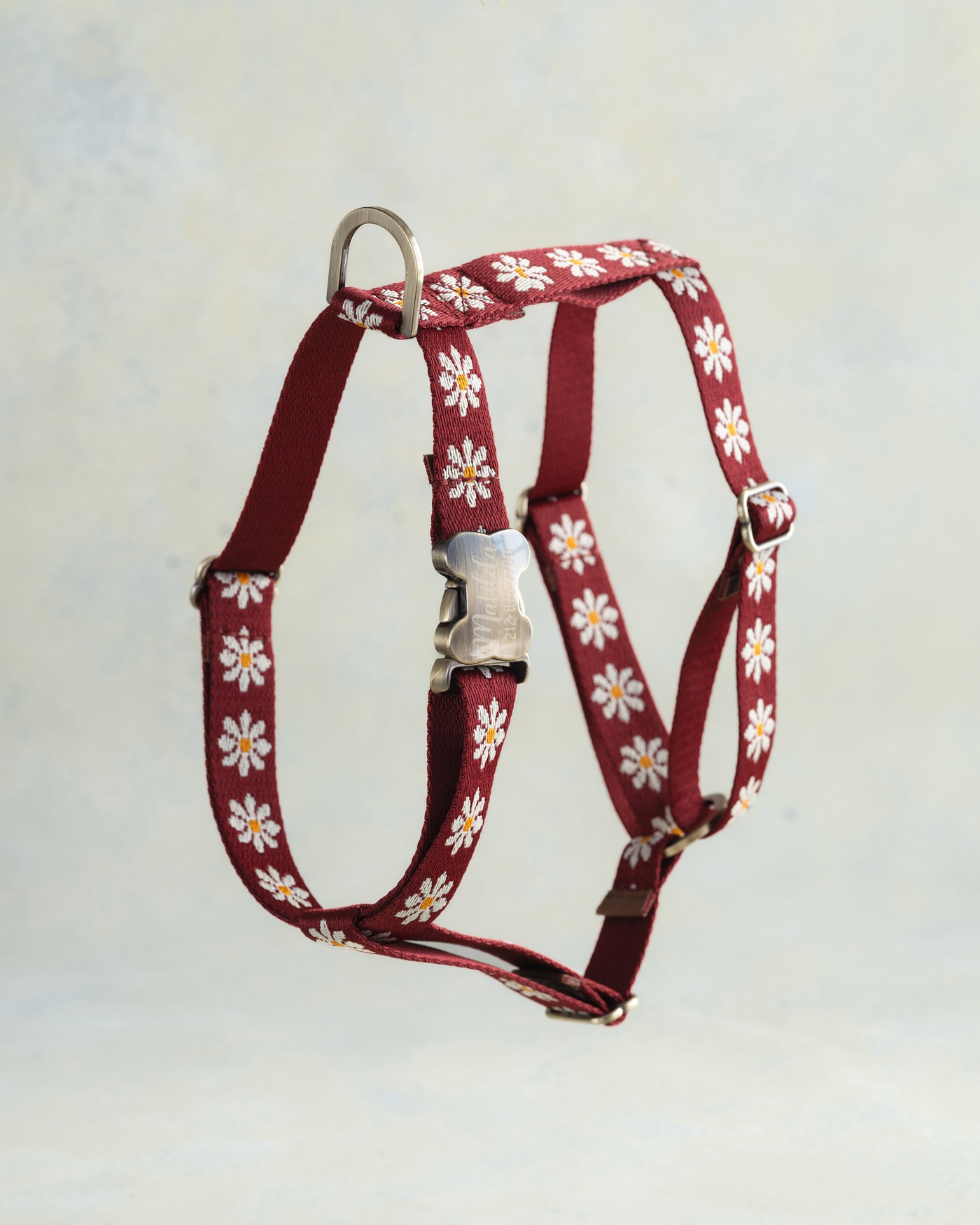 Ruby Red & White Daisies Designer Webbing Dog Collar