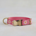 Custom dog collar