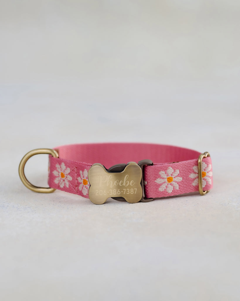 Blush & Daisy Webbing Dog Collar