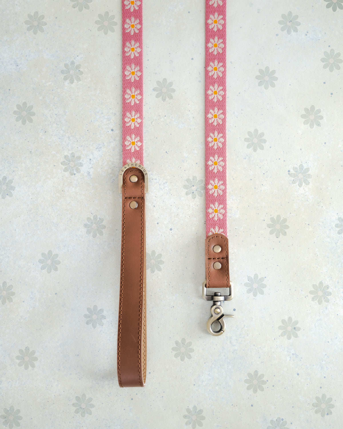 Blush Daisy webbing dog leash with a leather handle