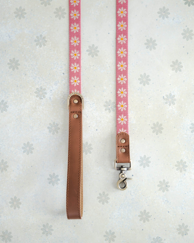 Blush & Daisy Webbing Dog Collar