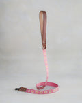 Blush & Daisy Webbing Dog Collar