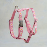 Blush Daisy webbing dog harness in the same pattern