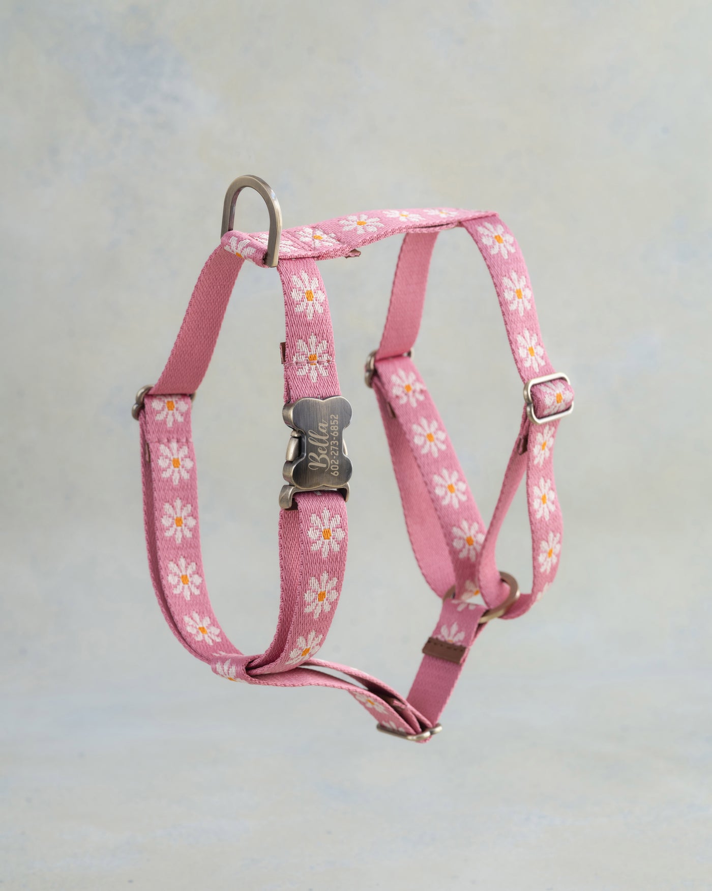 Blush & Daisy Webbing Dog Collar
