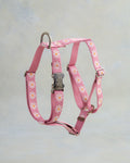 Blush & Daisy Webbing Dog Collar