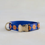 Custom dog collar