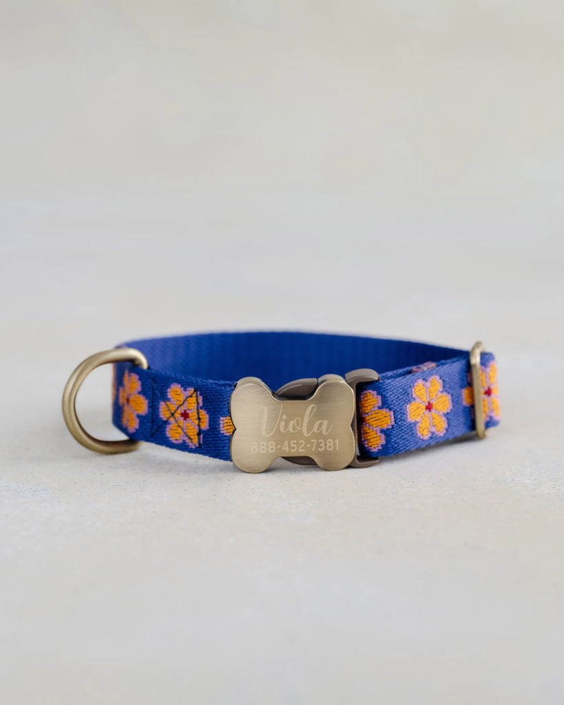 Custom dog collar