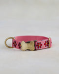 Engraved dog collar in variety of webbing designs