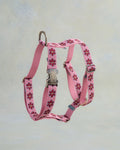 Webbing Dog Harness