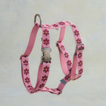 Floral dog harness in Rose Garden webbing (red flowers on rose pink) with an engraved bone buckle
