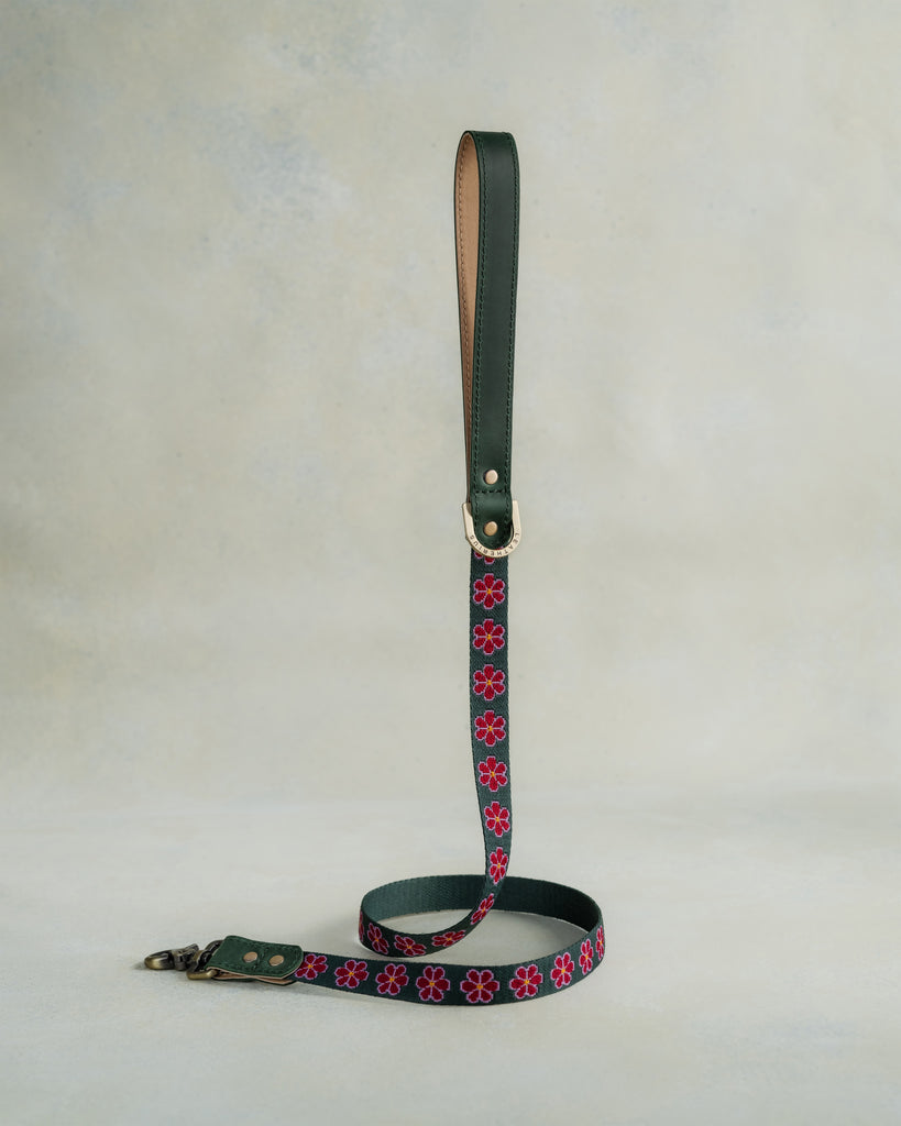 Forest Green & Ruby Red Floral Design Dog Collar