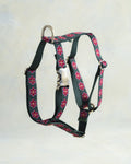 Webbing Dog Harness