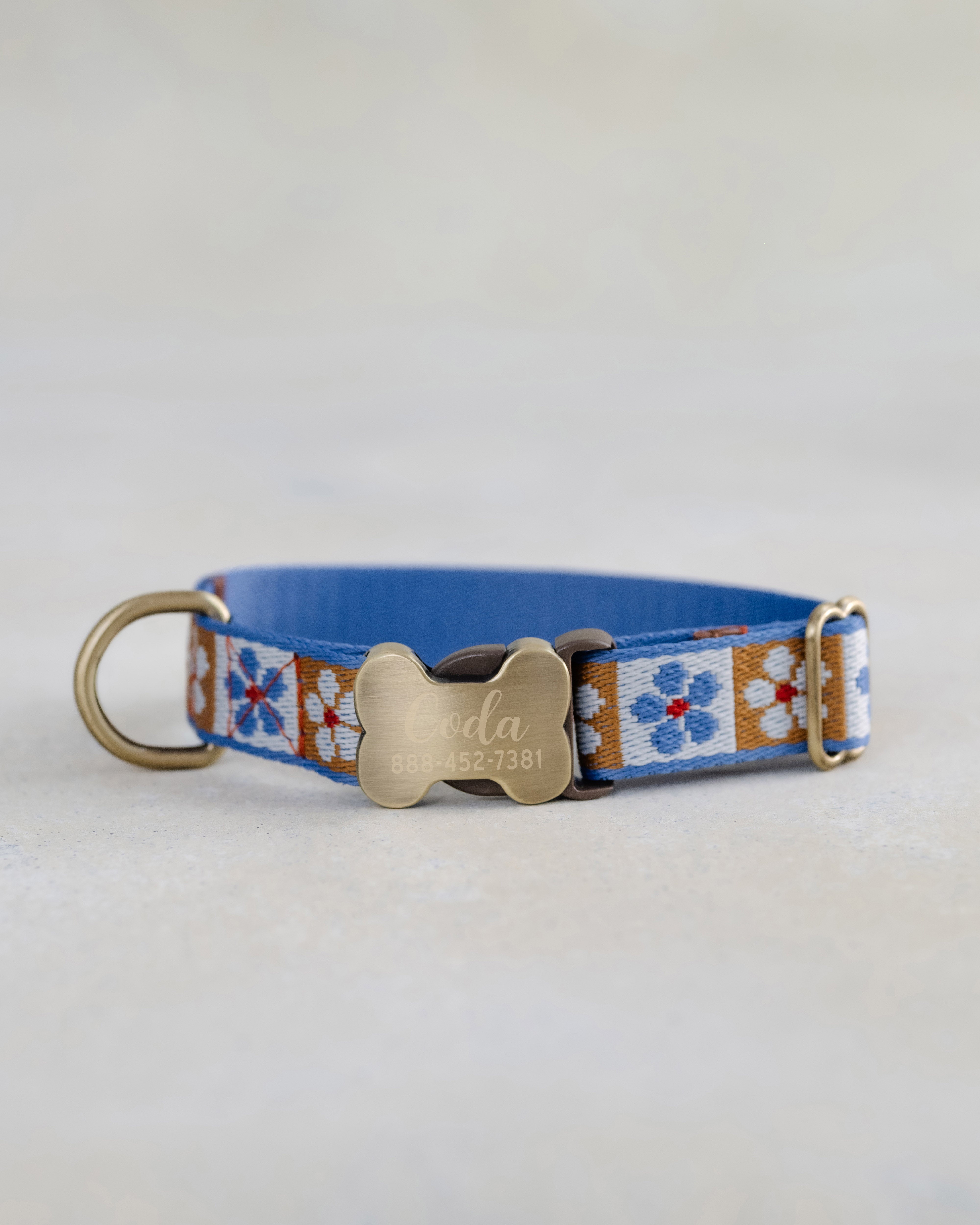 Personalized Dog Collar - Dog Collar and Leash Set