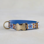 Custom dog collar