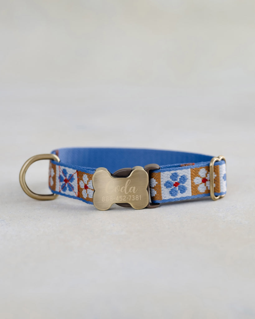 Majestic Flowers Webbing Dog Collar
