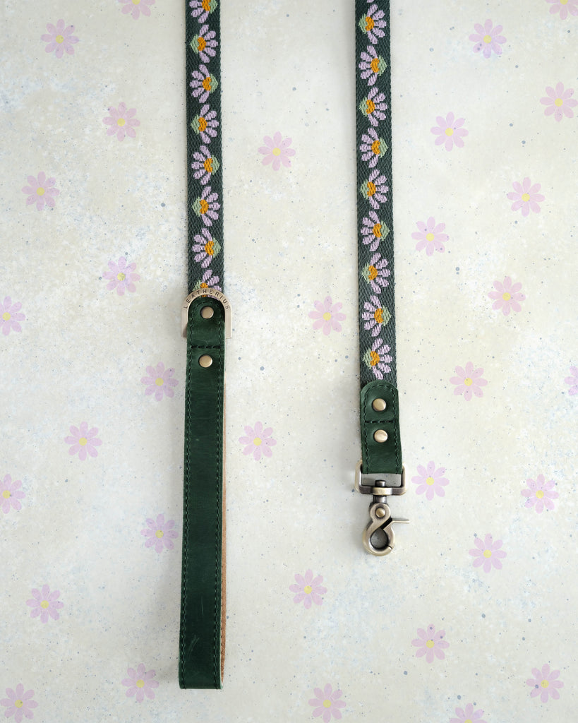 Webbing dog collar green floral