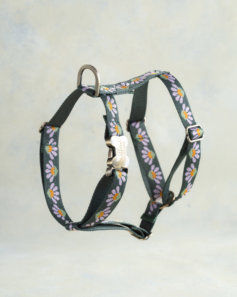 Webbing Dog Harness