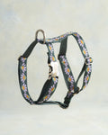 Webbing Dog Harness