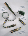 Personalized Dog Collar - Dog Collar and Leash Set - Custom webbing design collar