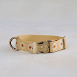Custom dog collar