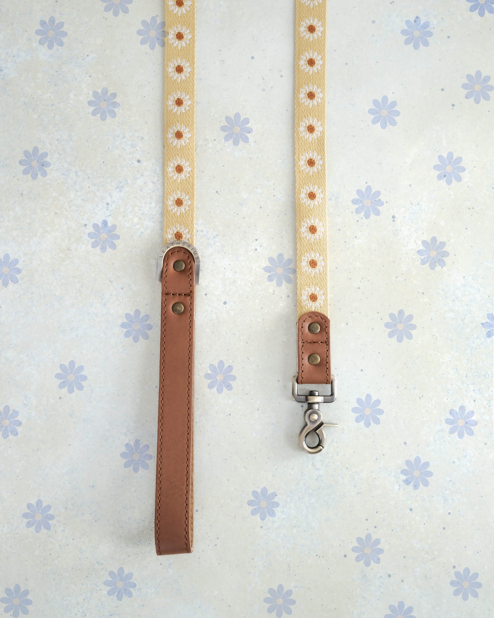 Webbing dog collar yellow daisy