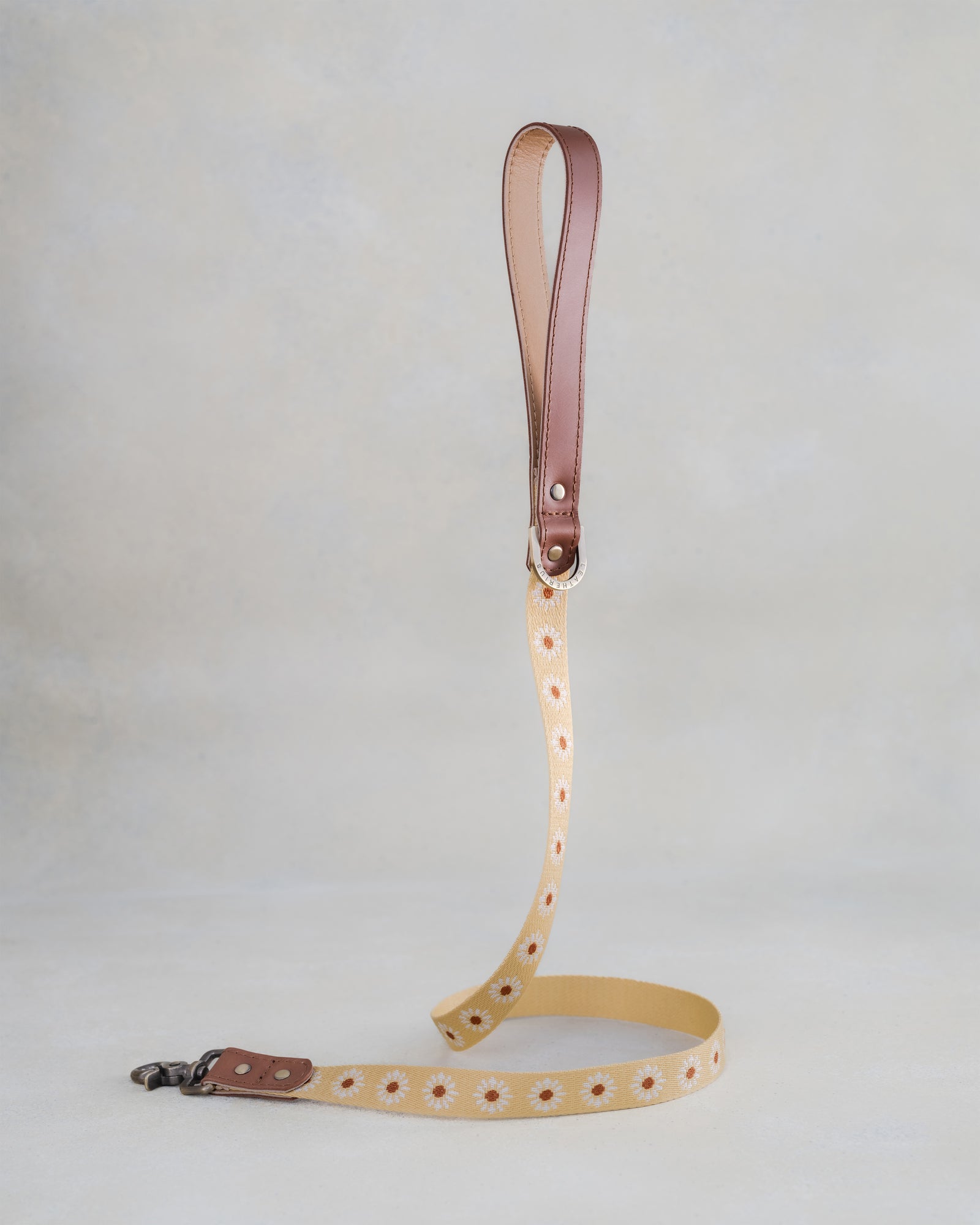 Webbing dog collar yellow daisy