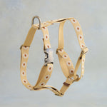 Webbing dog collar yellow daisy