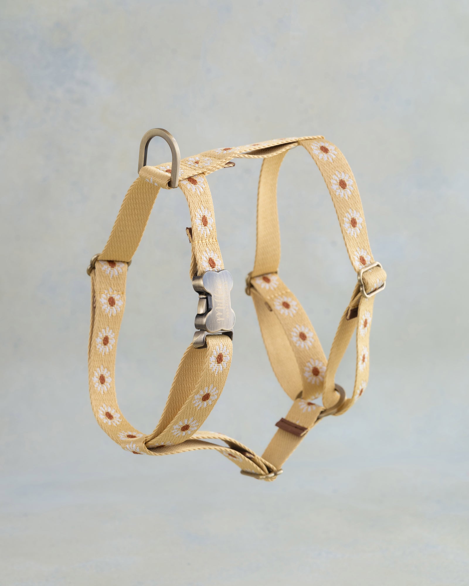 Webbing dog collar yellow daisy