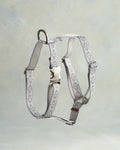 Webbing Dog Harness