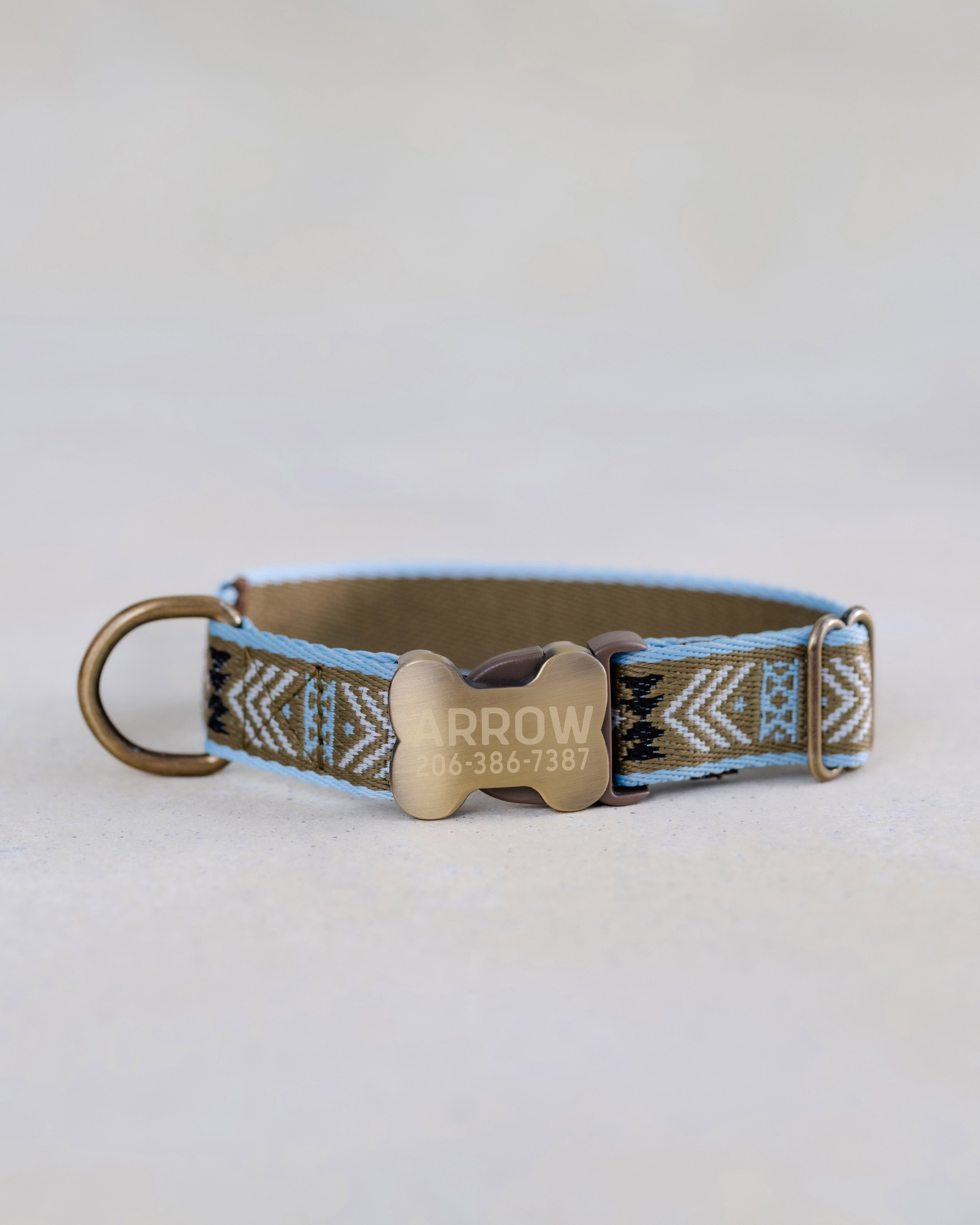 Engraved dog collar in variety of webbing designs