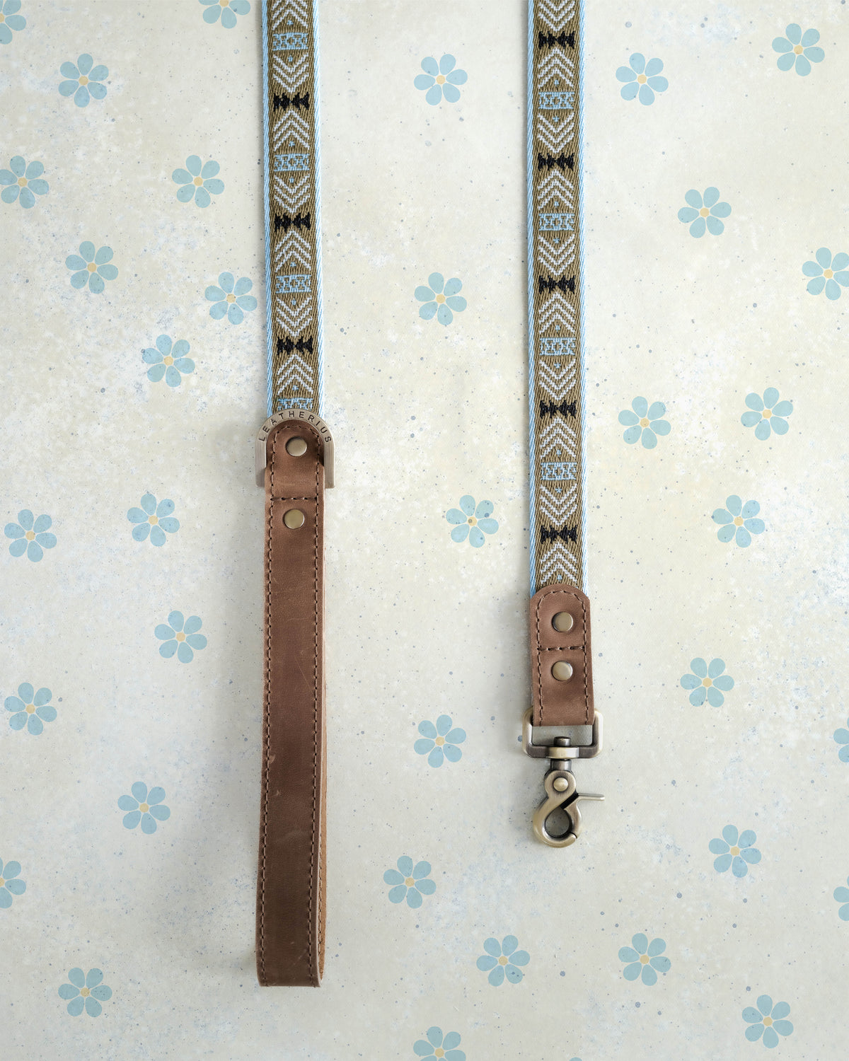Arrowhead webbing dog leash with a leather handle