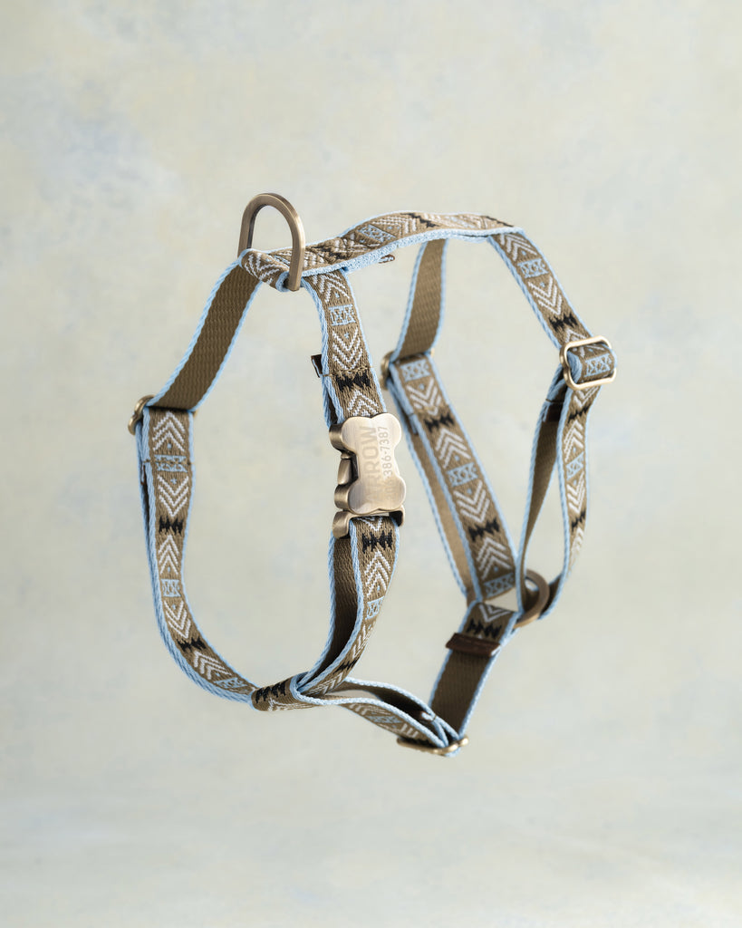 Webbing Dog Harness