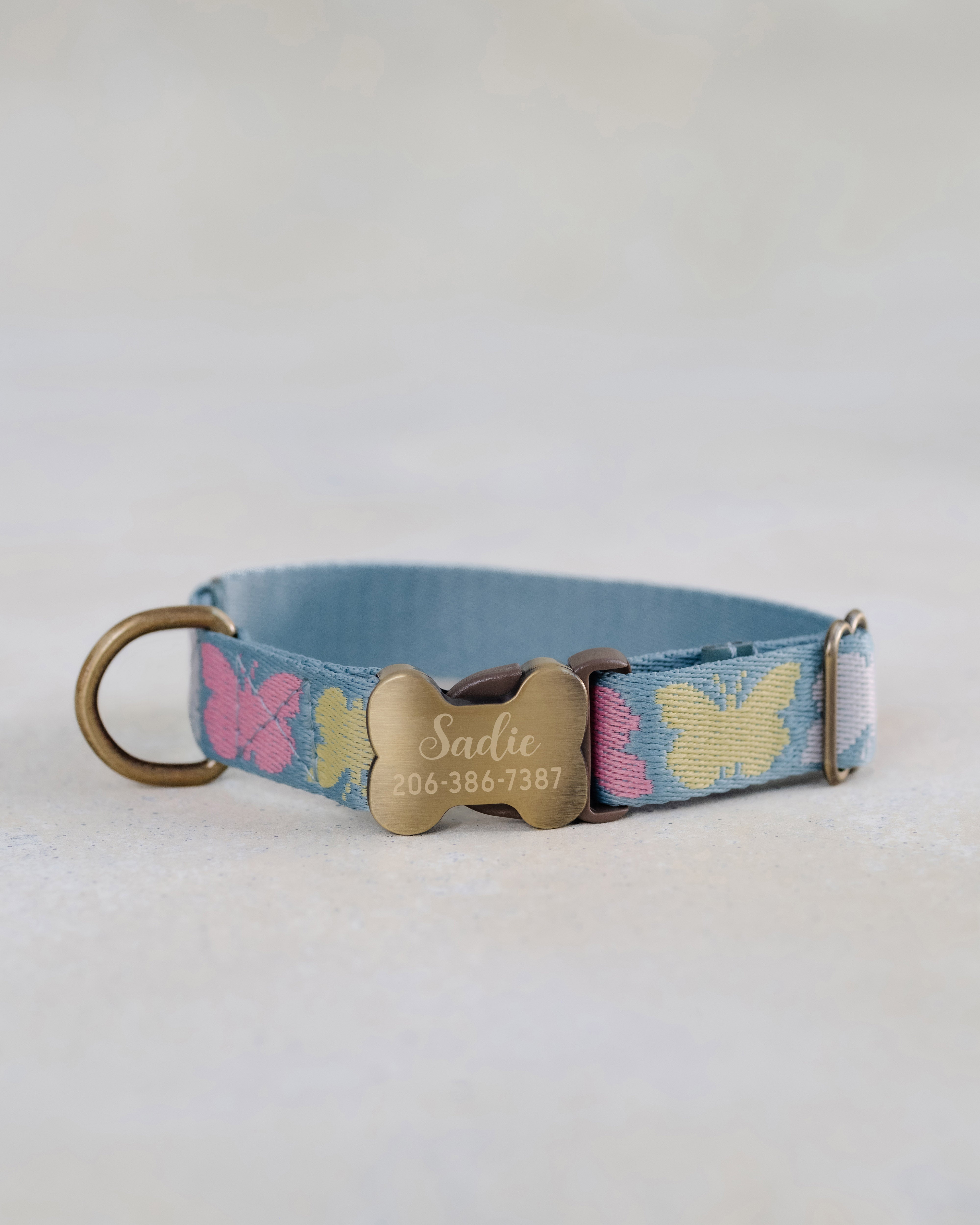 Webbing dog collar butterfly blue
