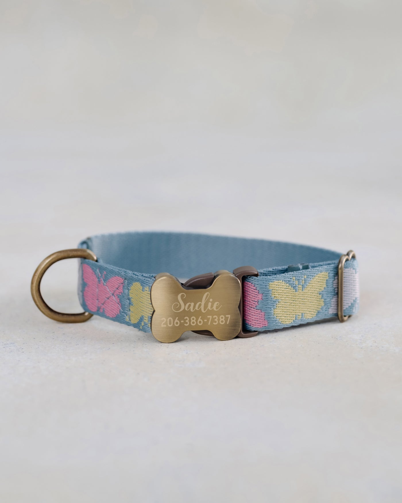 Webbing dog collar butterfly blue