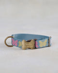 Webbing dog collar butterfly blue