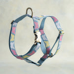 Butterflies webbing dog harness in the same pattern