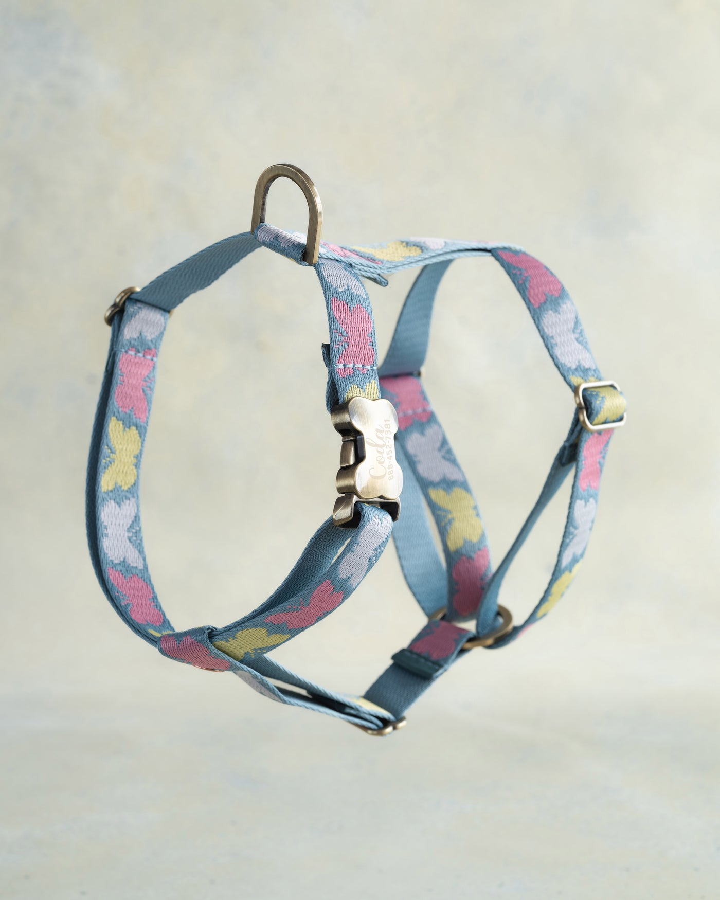 Webbing dog collar butterfly blue