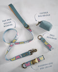 Webbing dog collar butterfly blue