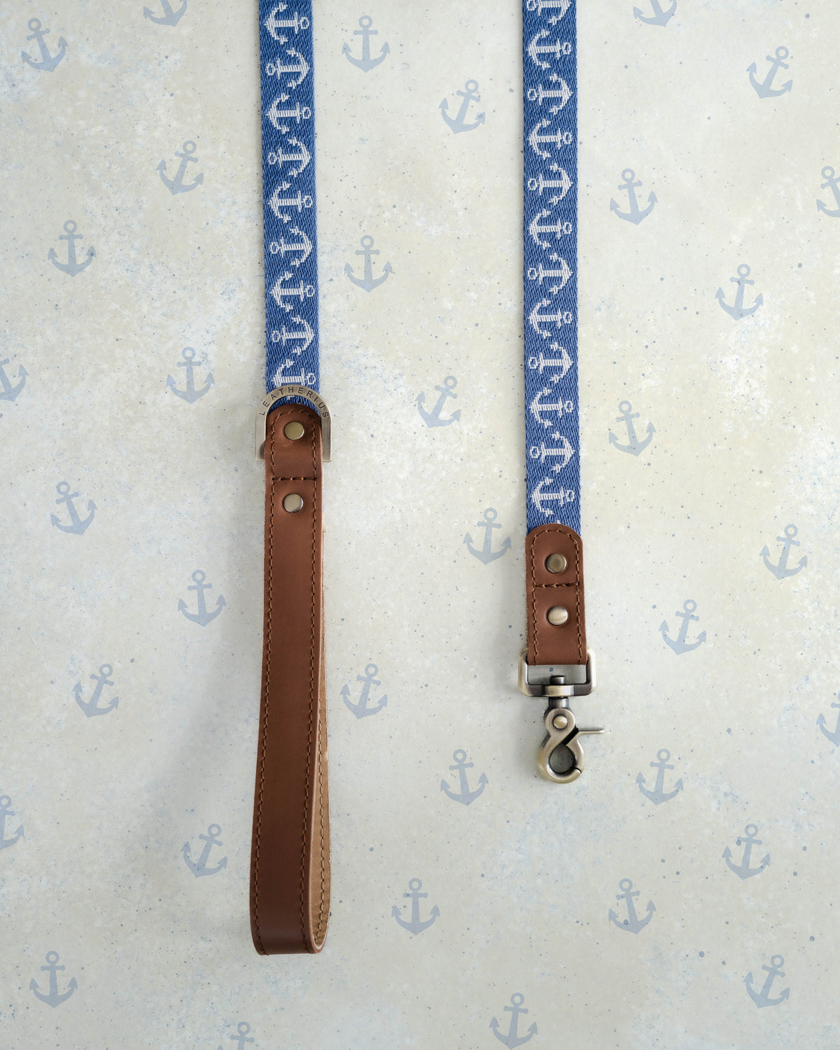 Anchors webbing dog leash with a leather handle