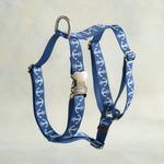 Anchors webbing dog harness in the same pattern