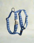 Webbing dog collar nautical blue
