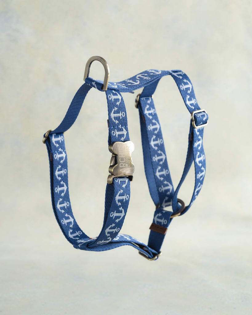 Webbing Dog Harness