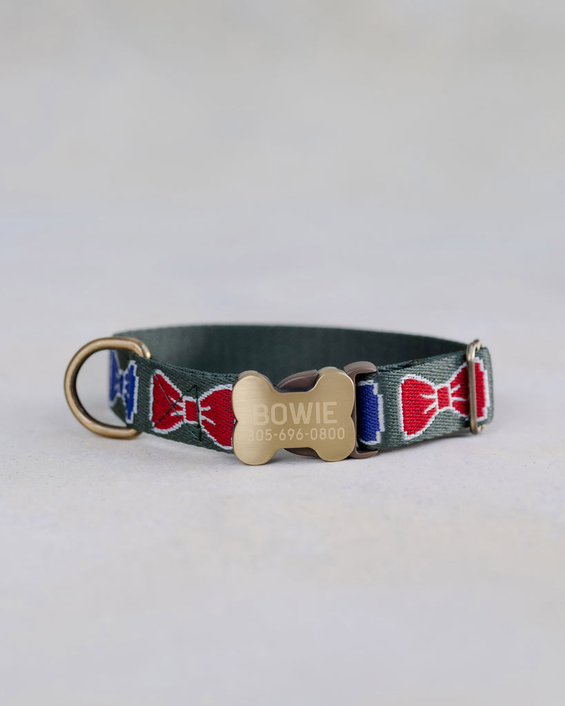 Webbing dog collar bow pattern green