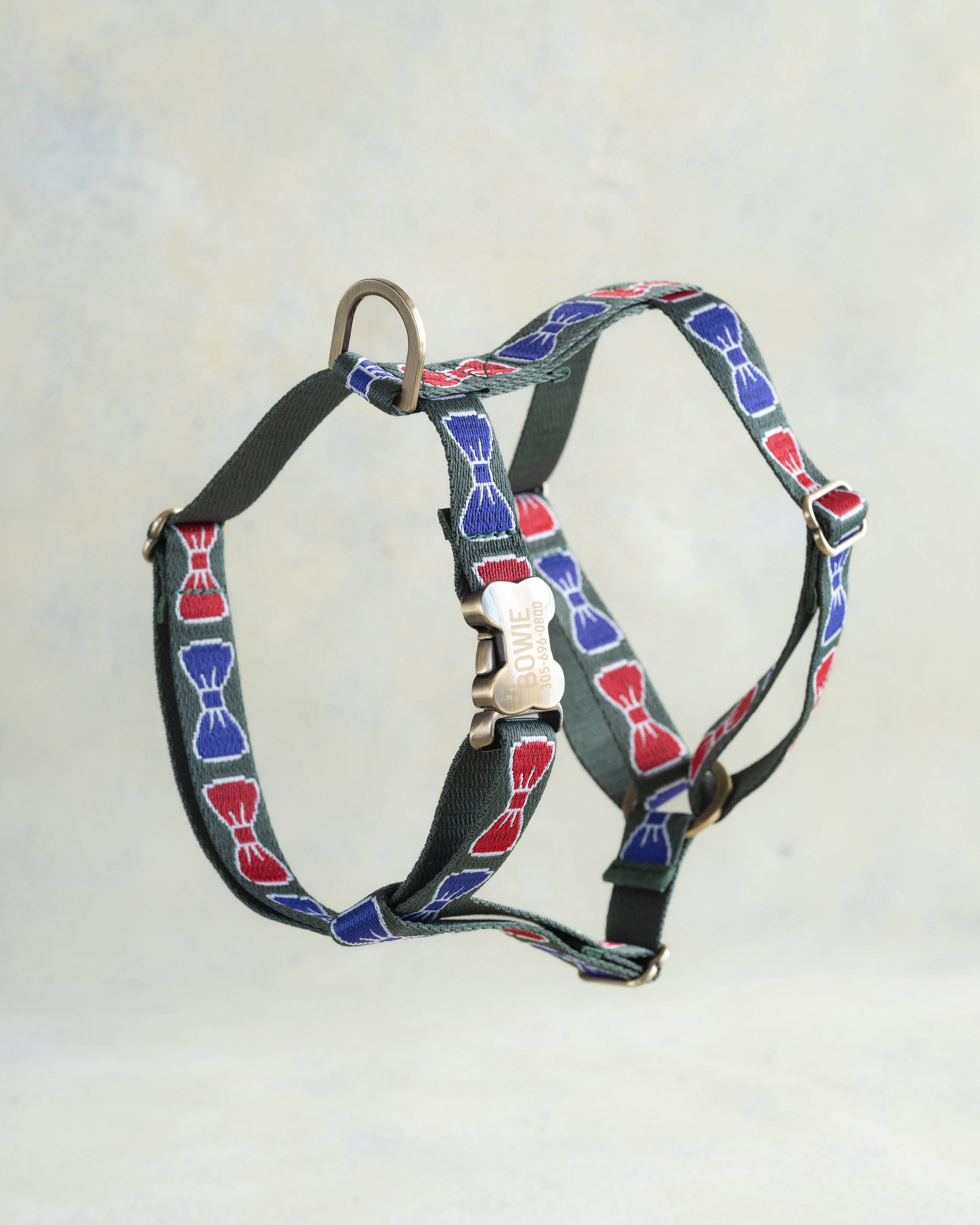 Webbing Dog Harness