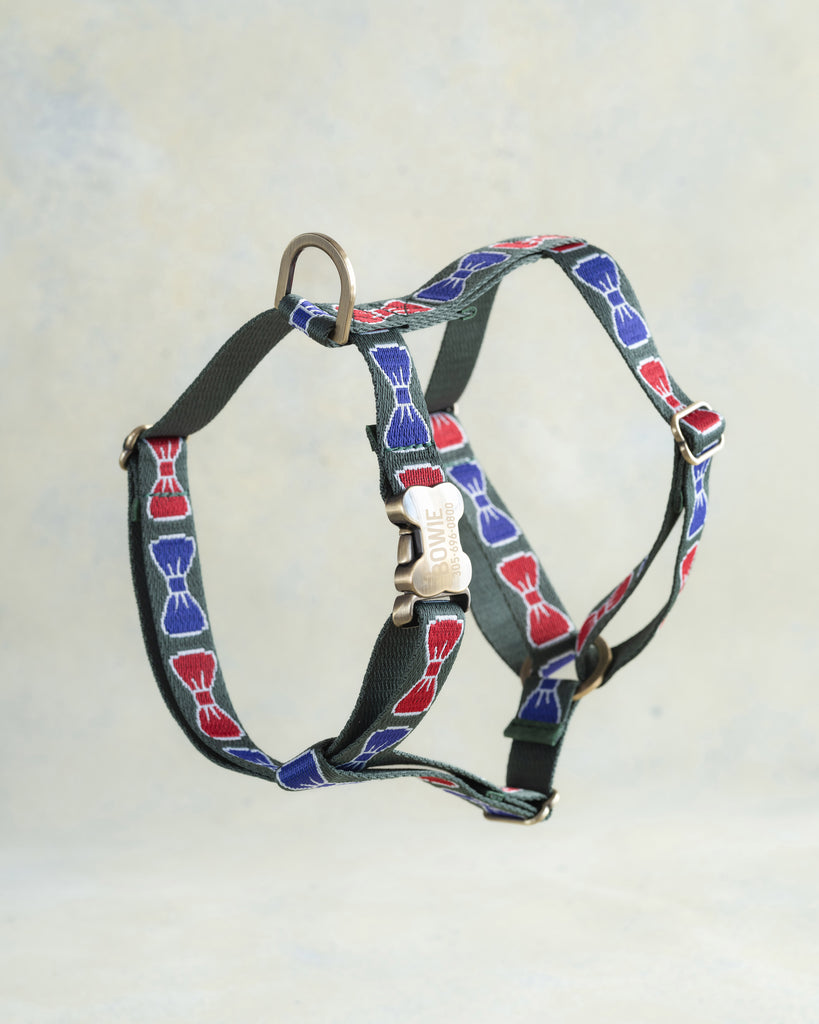 Webbing Dog Harness