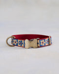 Engraved dog collar in variety of webbing designs