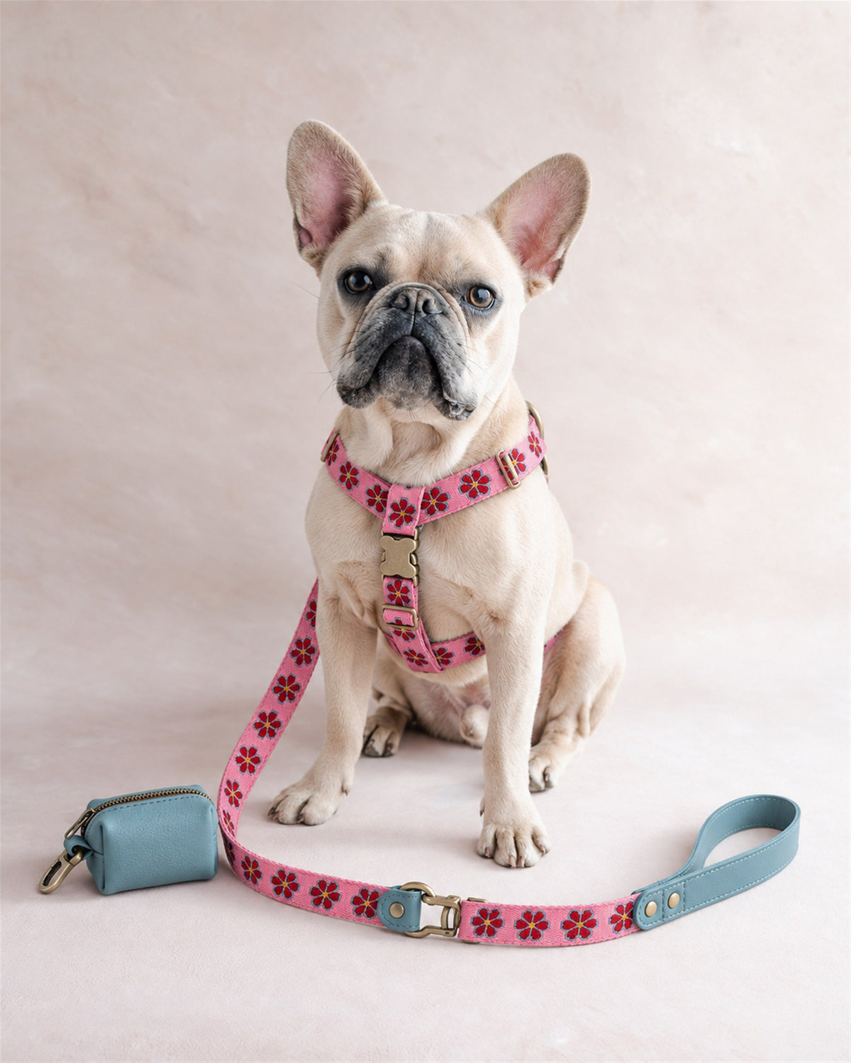 French bulldog in a floral dog harness in the Rose Garden pattern with the matching webbing leash and a leather bag holder